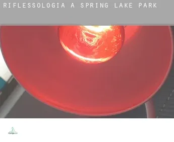 Riflessologia a  Spring Lake Park