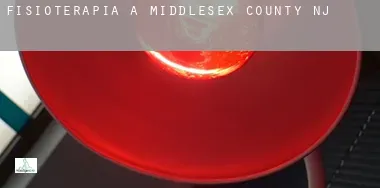Fisioterapia a Middlesex County