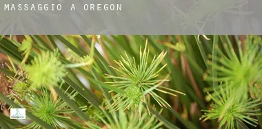 Massaggio a  Oregon
