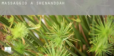Massaggio a Shenandoah