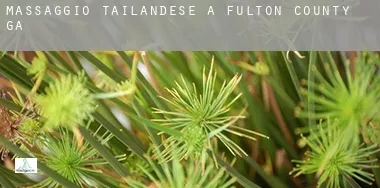 Massaggio tailandese a  Fulton County