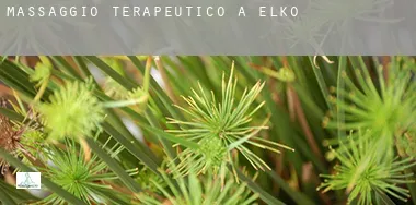 Massaggio terapeutico a Elko