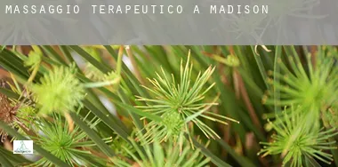Massaggio terapeutico a Madison