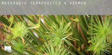 Massaggio terapeutico a Vermont