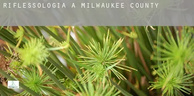 Riflessologia a  Milwaukee County