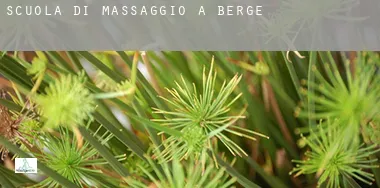 Scuola di massaggio a Contea di Bergen