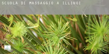 Scuola di massaggio a Illinois