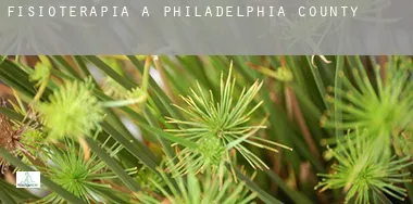 Fisioterapia a  Philadelphia County