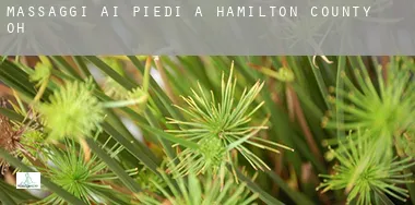 Massaggi ai piedi a  Hamilton County