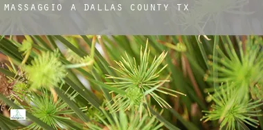 Massaggio a Dallas County
