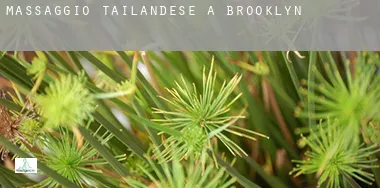 Massaggio tailandese a Brooklyn