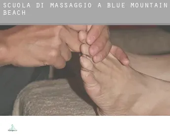 Scuola di massaggio a  Blue Mountain Beach