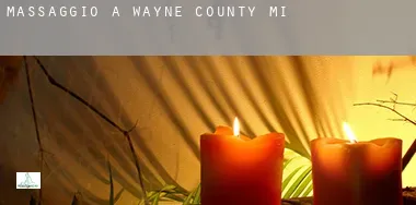 Massaggio a  Wayne County
