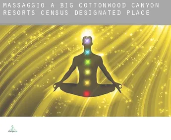 Massaggio a  Big Cottonwood Canyon Resorts