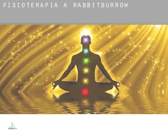 Fisioterapia a  Rabbitburrow