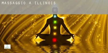 Massaggio a Illinois