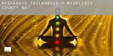 Massaggio tailandese a  Middlesex County