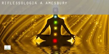 Riflessologia a Amesbury