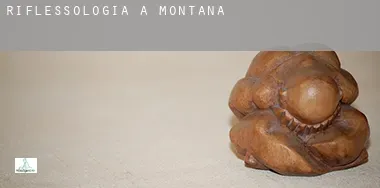 Riflessologia a  Montana
