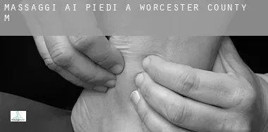 Massaggi ai piedi a  Worcester County