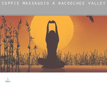 Coppie massaggio a  Wacoochee Valley