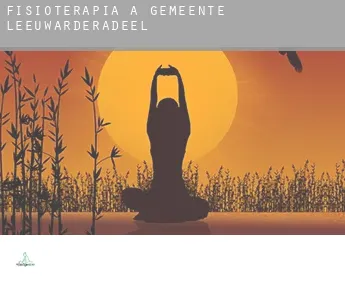 Fisioterapia a  Gemeente Leeuwarderadeel