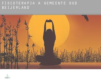 Fisioterapia a  Gemeente Oud-Beijerland