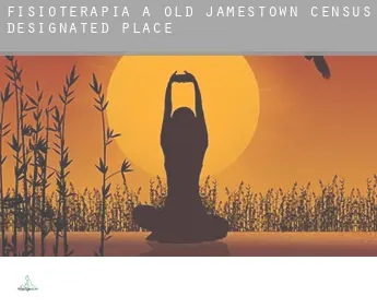 Fisioterapia a  Old Jamestown