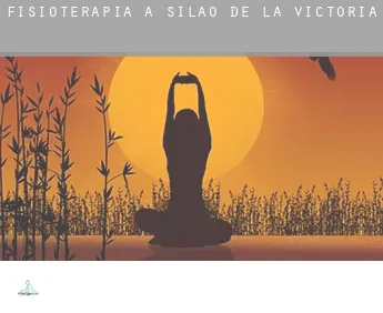 Fisioterapia a  Silao de la Victoria