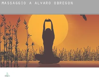 Massaggio a  Alvaro Obregón