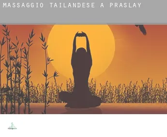 Massaggio tailandese a  Praslay