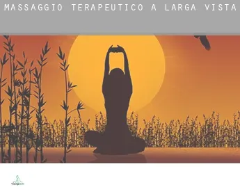 Massaggio terapeutico a  Larga Vista