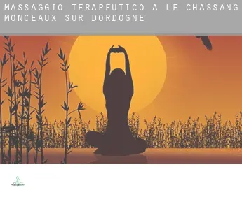 Massaggio terapeutico a  Le Chassang, Monceaux-sur-Dordogne