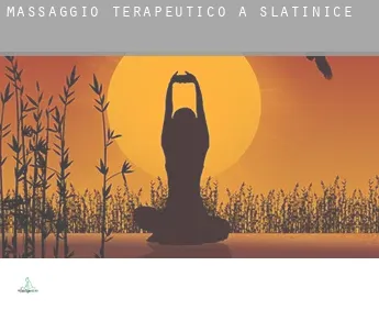 Massaggio terapeutico a  Slatinice