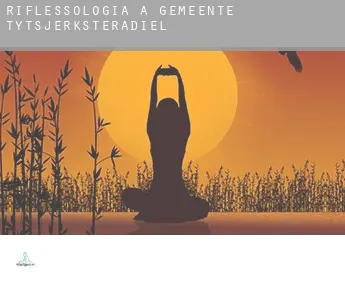 Riflessologia a  Gemeente Tytsjerksteradiel