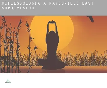 Riflessologia a  Mayesville East Subdivision