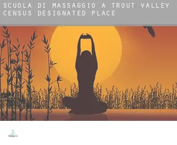 Scuola di massaggio a  Trout Valley