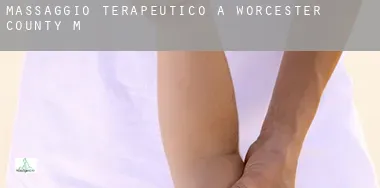 Massaggio terapeutico a Worcester County